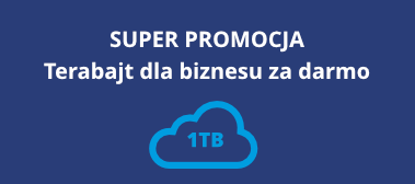 Super promocja Terabajt dla biznesu za darmo